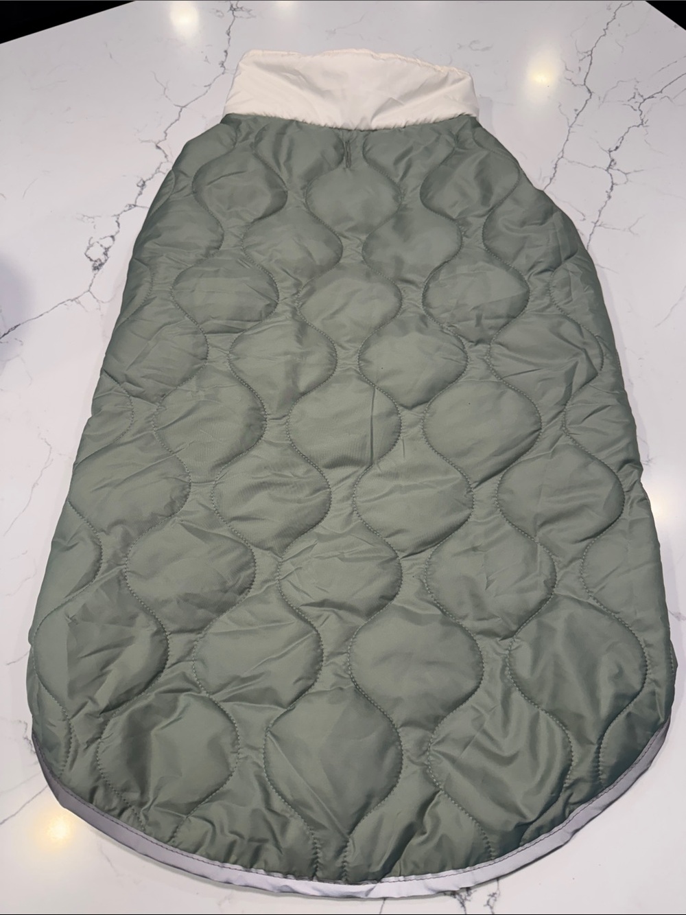 Quilted light Green dog coat 32degrees
